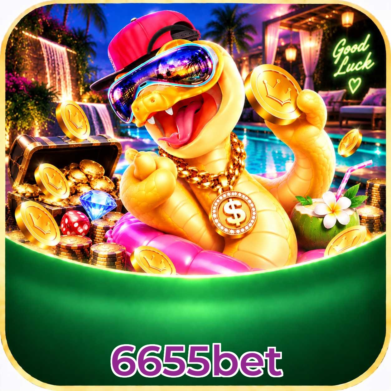 6655bet Game Stats