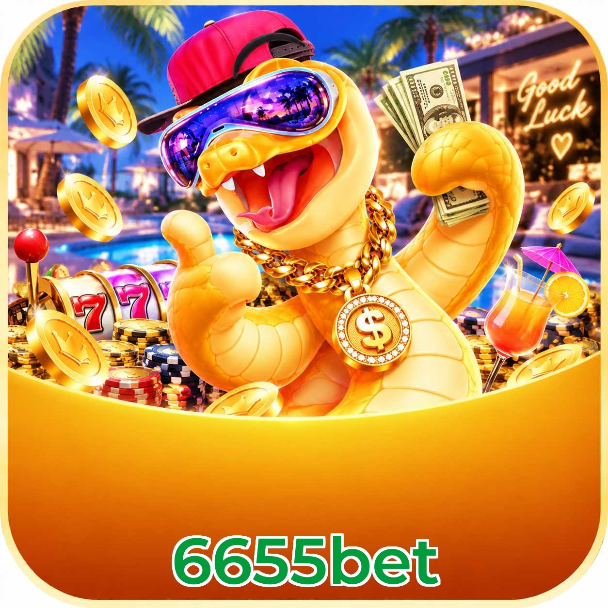 6655bet Logo